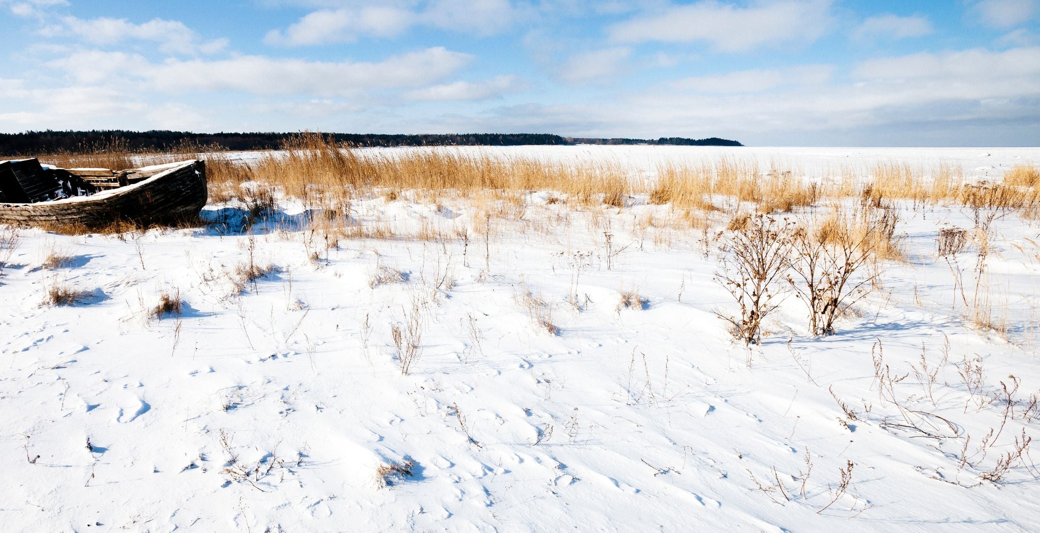 Banner_Feel_the_Nordic_Winter._baa3d5a4-0dd2-4694-be3d-735279ebbe83.jpg