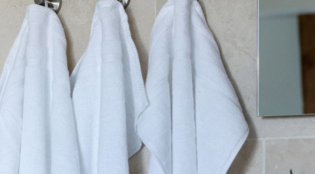 Free_gift_guest_towel_set_of_2_3.png