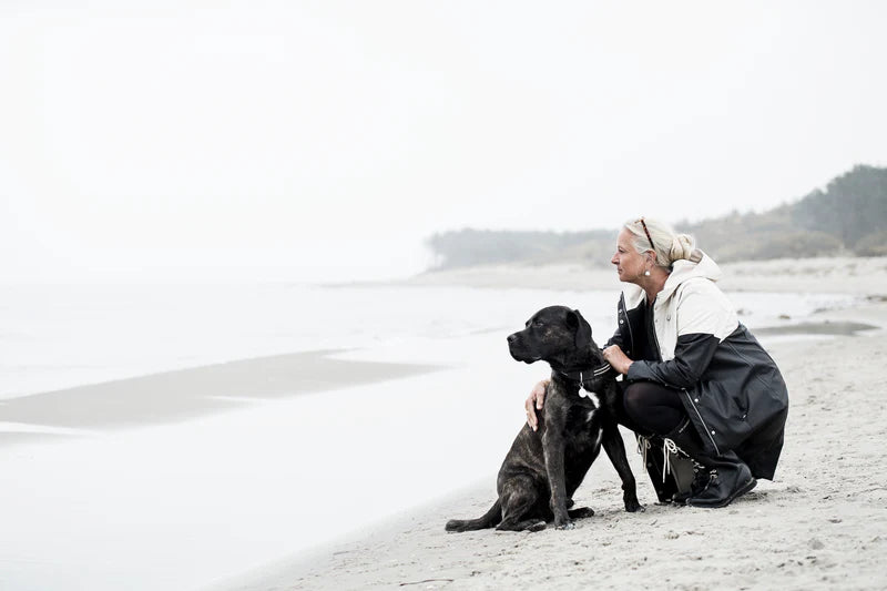 UNIVERS_ILSE_AND_KONRAD_BEACH.webp
